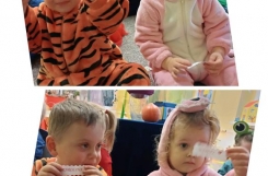 IMG20241129115343 